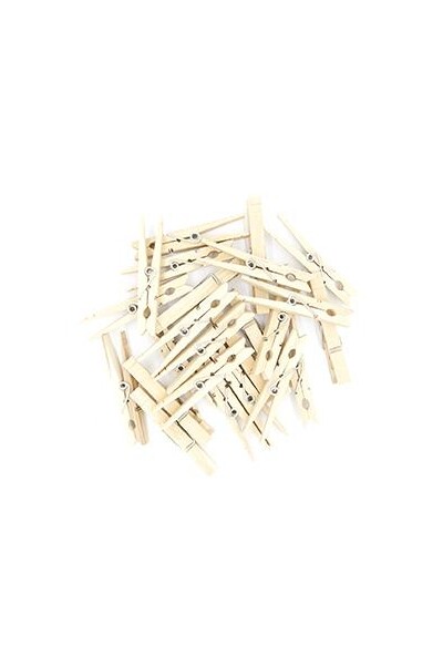 Little Wood Pegs - Natural (Pack of 24)