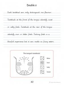 Handwriting Conventions Queensland Year 6 - Sample 2