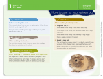 Blakes-Learning-Centres-Science-Comprehension-and-Writing-Response-Centres-Lower-Primary_sample-page8