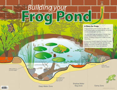 Building Your Frog Pond