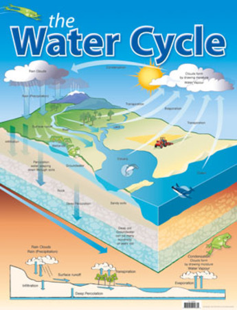 The Water Cycle