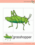 Integrated-Topic-Series-All-About-Insects_sample-page4