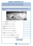 Excel - Year 7 NAPLAN* Style Tests - Sample Pages - 7