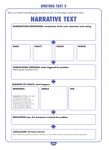 Excel - Year 9 NAPLAN* Style Tests - Sample Pages - 20