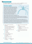 Excel Advanced Skills - Reading and Comprehension Workbook Year 5 - Sample Pages 11