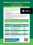 Excel Basic Skills - English Workbook Year 4 - Sample Pages 11