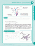 Excel Handbooks - Science Handbook Years 7–8 - Sample Pages 6