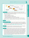 Excel Handbooks - Science Handbook Years 7–8 - Sample Pages 8