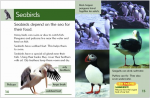 Go Facts Animals - Birds - Sample Page