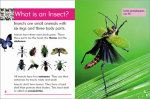 Go Facts Animals - Insects - Sample Page