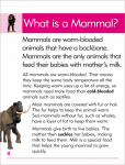 Go Facts Animals - Mammals - Sample Page