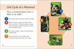 Go Facts Animals - Mammals - Sample Page