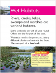 Go Facts - Habitats - Wet - Sample Pages 3