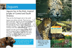 Go Facts Mammals - Big Cats - Sample Page