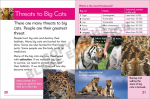 Go Facts Mammals - Big Cats - Sample Page