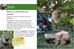 Go Facts Mammals - Extreme Mammals - Sample Page