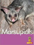 Go Facts Mammals - Marsupials
