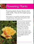 Go Facts Plants - Flowers - Sample Page