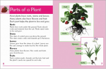 Go Facts Plants - Plants - Sample Page