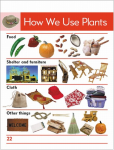 Go Facts Plants - Plants - Sample Page