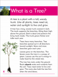 Go Facts Plants - Trees - Sample Page