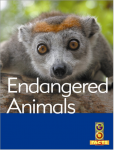Go Facts - Environmental Issues - Endangered Animals