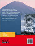 Go Facts - Natural Disasters - Volcano - Sample Page