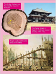 Go Facts - Natural Resources - Timber - Sample Page