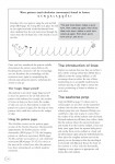 Targeting-Handwriting-NSW-Teacher-Resource-Book-Year-1_sample-page8
