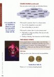 Blakes-Maths-Guide-Middle-Primary-sample-page-12