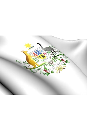Primary Politics, Democracy and Government resources