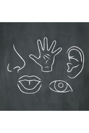 Tools for Using the 5 Senses in Learning