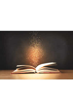 New In: Literacy Fiction