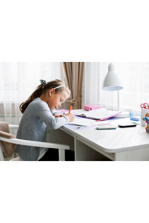 Top 5 Student Diaries for 2022