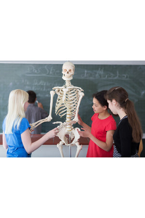 5 Best Selling Human Biology Resources
