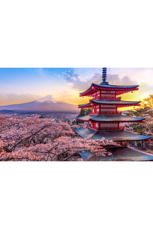Best selling resources for teaching Japanese