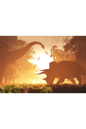 Top 5 Dinosaur themed products