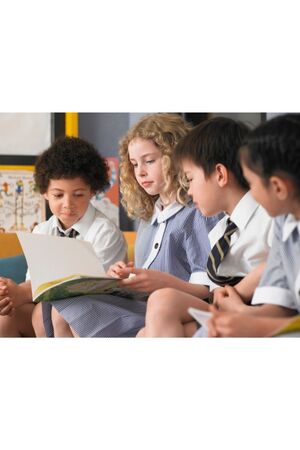 Incorporate Multicultural Perspectives: Integrate diverse cultural perspectives into the curriculum to promote inclusivity and global awareness