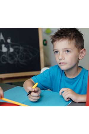 Develop Critical Thinking Skills: Nurturing Independent Thinkers and Problem Solvers