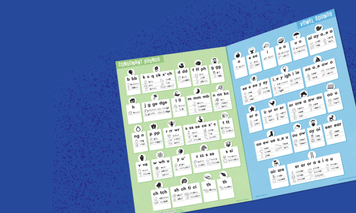 Flashcards & Flips - English