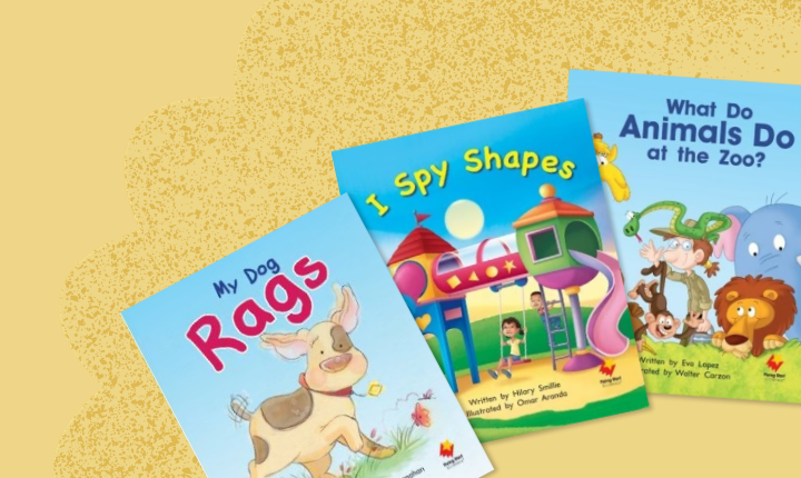 Flying Start to Literacy