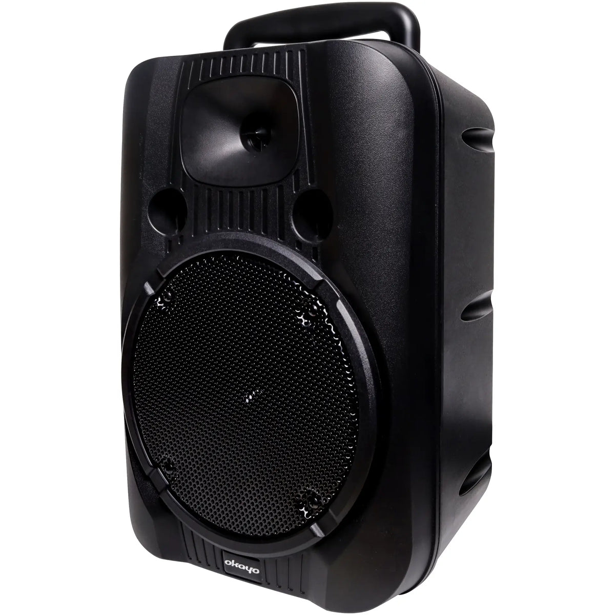 Okayo Portable PA Extension Speaker
