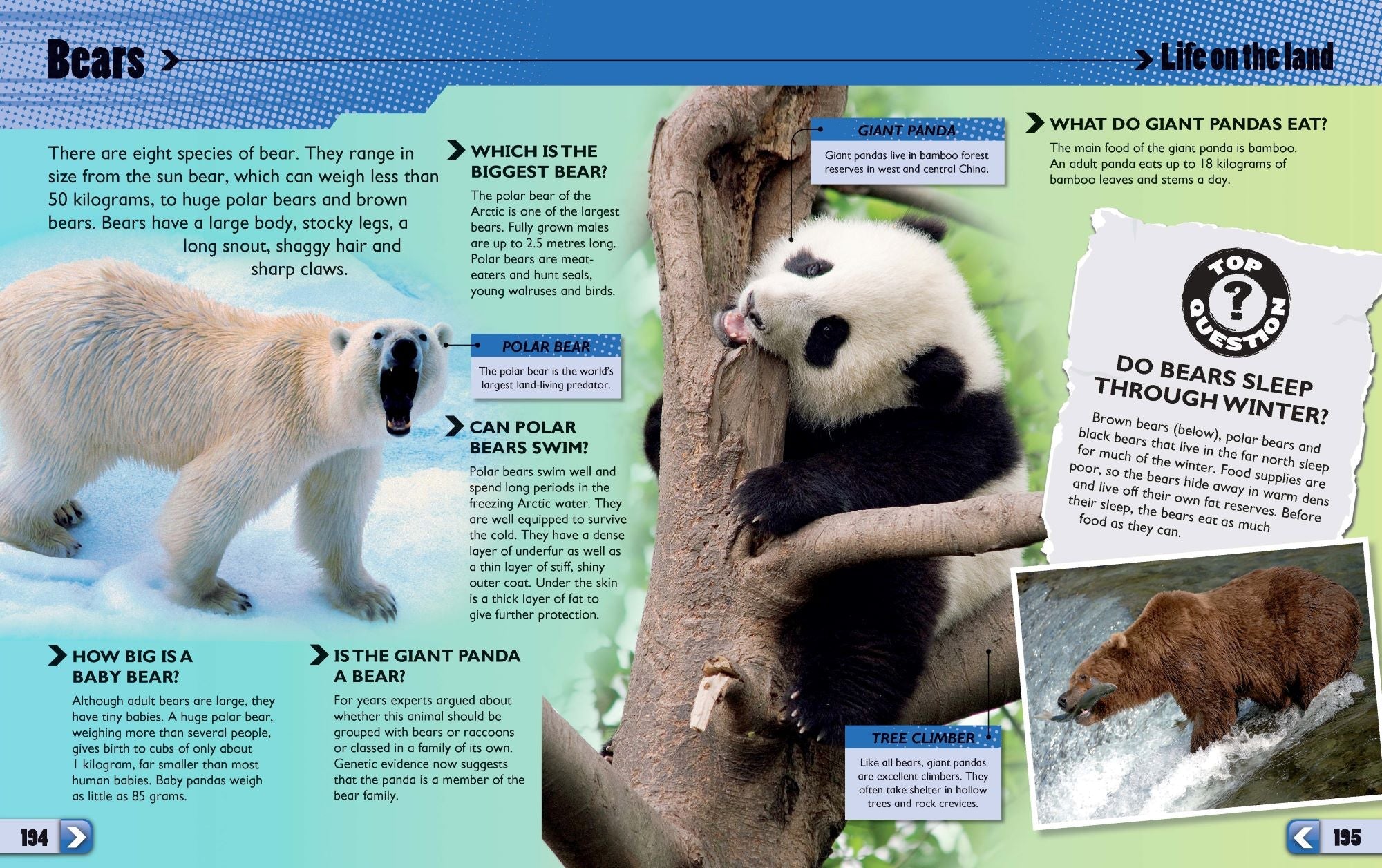 1001 Questions & Answers — inside page 2