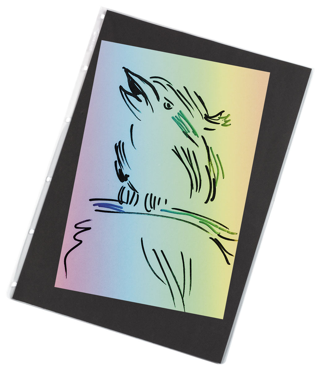 Jasart Art Portfolio Sleeve - A4 Pvc