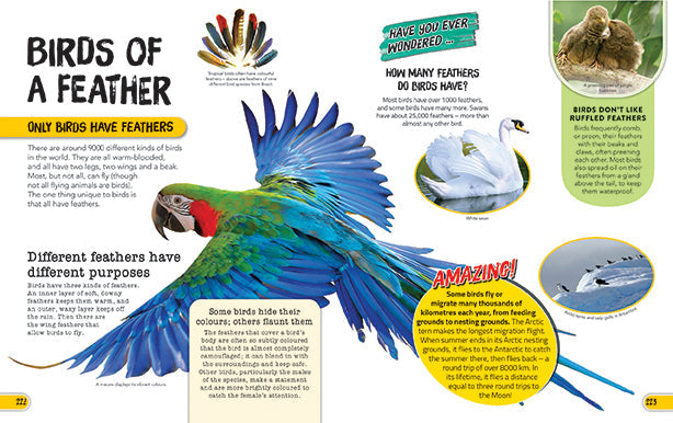 1501 Things You Need to Know — inside page 4