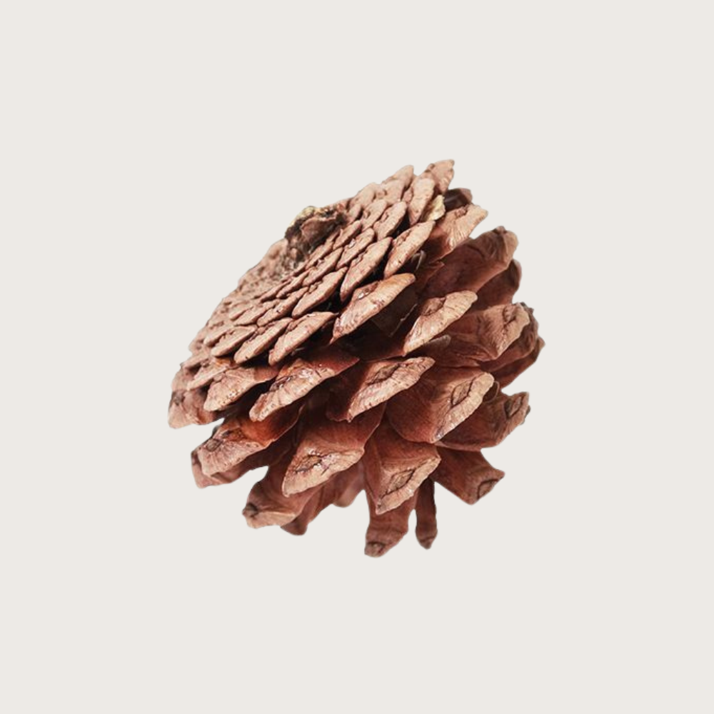Natural Crafts