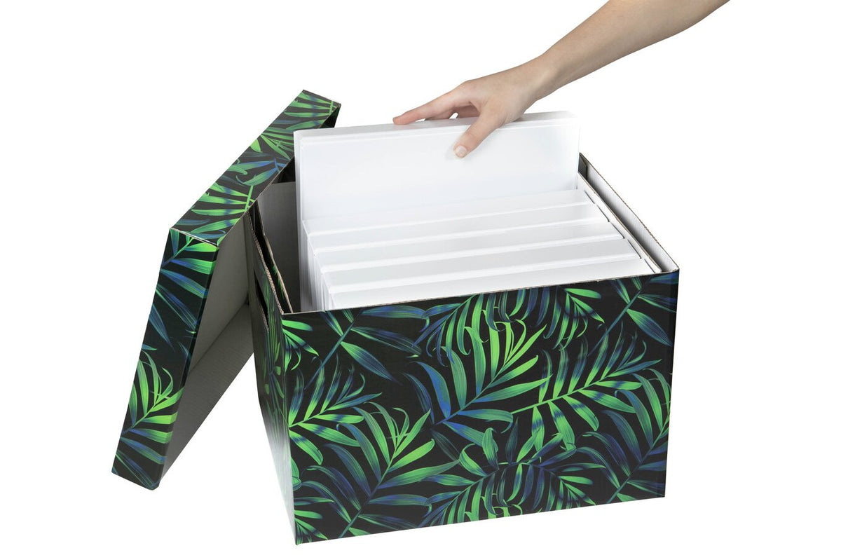 Marbig Archive Box Midnight Palm (Pack of 10) - view 3