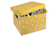 Marbig Enviro We Mean Green Archive Box Yellow (Pack of 4)
