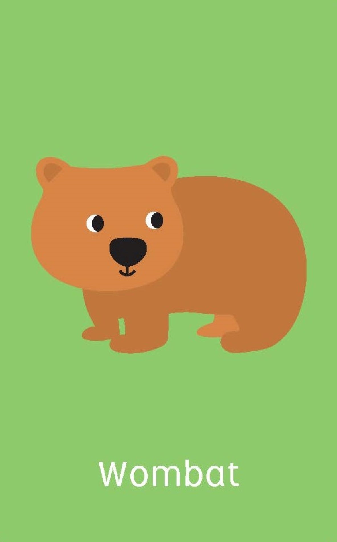 Little Genius Vol. 2 - Snap Cards - Australian Animals — inside page 2