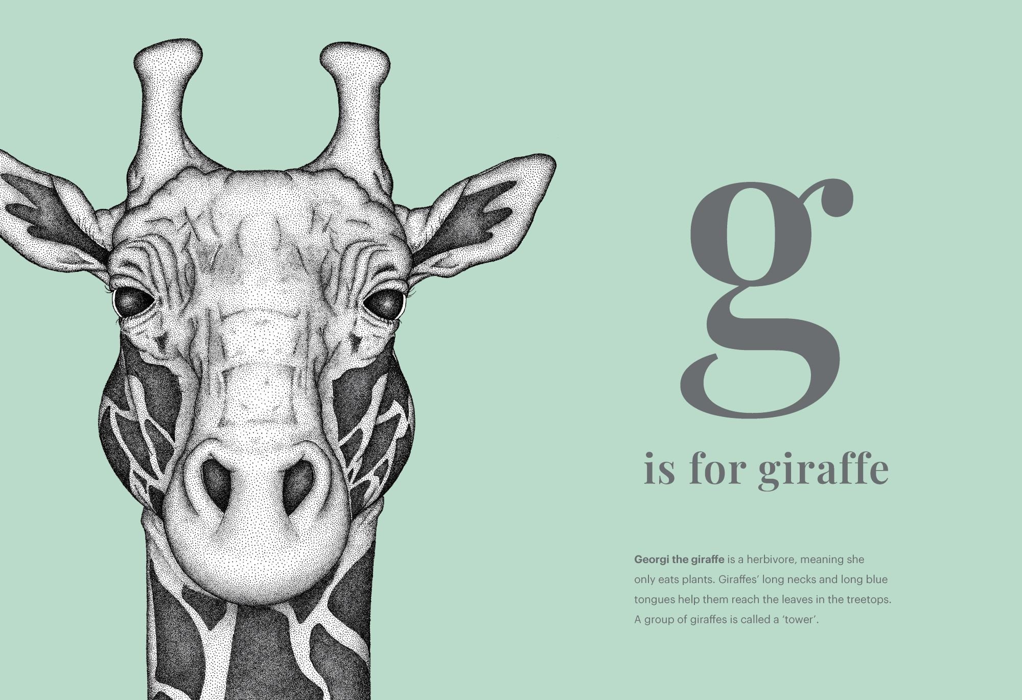 Dots by Donna - The Animal Alphabet — inside page 2